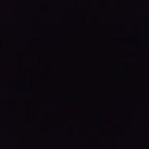 Meet your Posher, Donnie